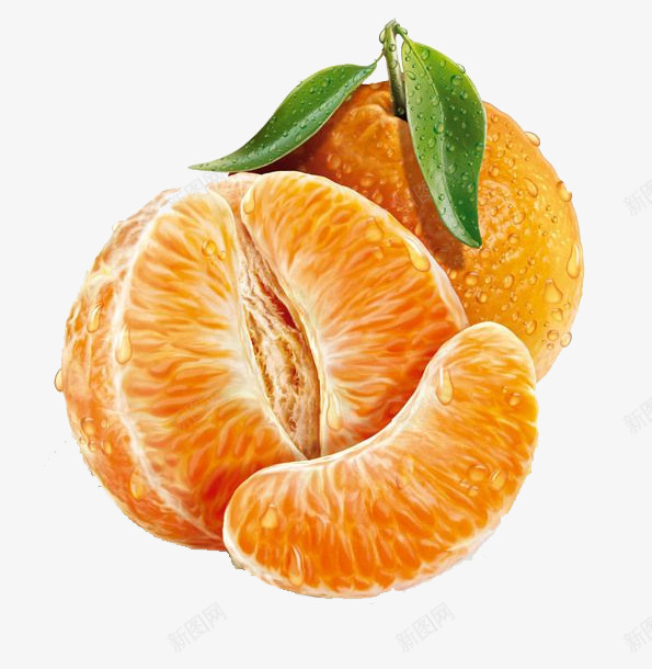 手绘橙子果肉png免抠素材_88icon https://88icon.com 手绘 橙子 橙色 褚橙