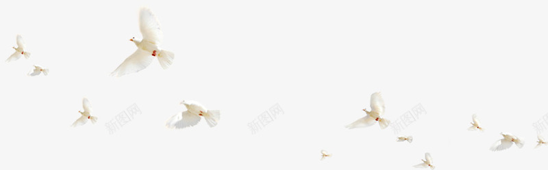 创意在海边飞翔的白鸽png免抠素材_88icon https://88icon.com 创意 海边 白鸽 素材 飞翔