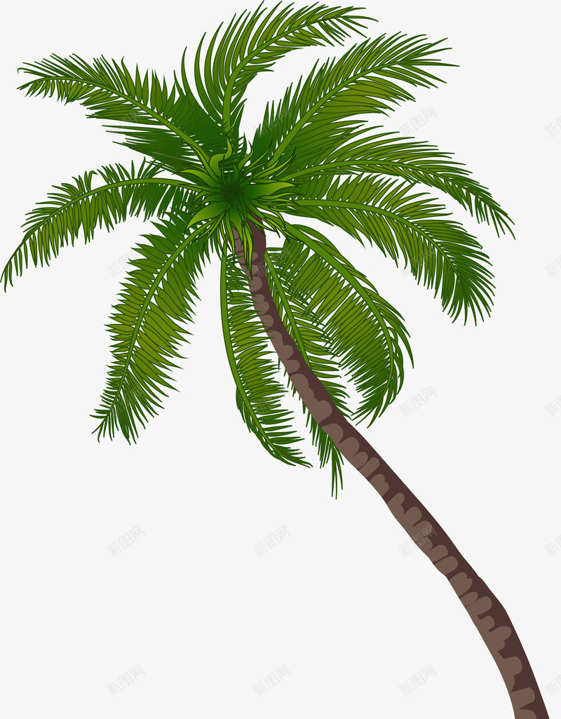海岛椰树植物png免抠素材_88icon https://88icon.com 免抠PNG 树木 植物 椰树 海岛 装饰图案