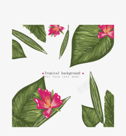 彩绘热带植物花卉背景素材