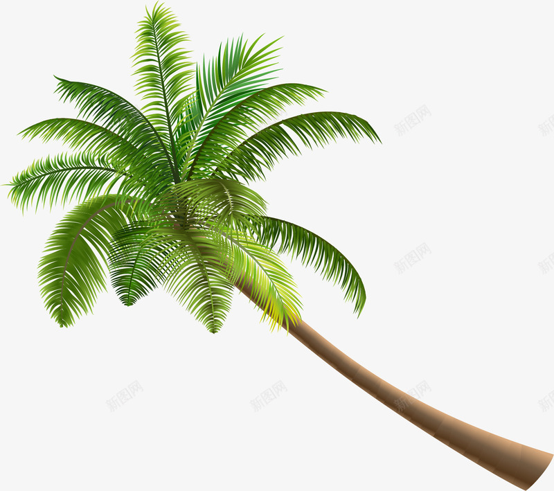 绿色海岛椰树png免抠素材_88icon https://88icon.com 免抠PNG 树木 植物 椰树 海岛 绿色 装饰图案