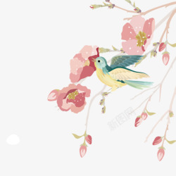 水彩绘春季花枝上的鸟素材