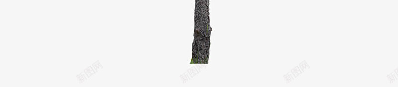 茂盛的树木png免抠素材_88icon https://88icon.com 大树 树木 森林植物 生机树 绿叶花草图片 绿色生机的树木图片 茂盛的树木
