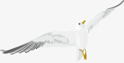 和平鸽子装饰白色飞翔素材