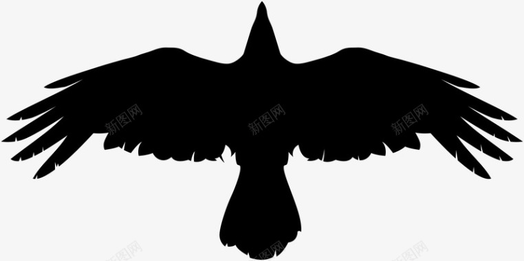 2017黑色鸟动物图标图标