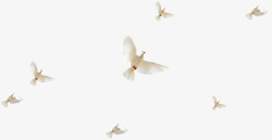 白色海鸥飞翔蓝天素材
