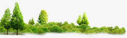 绿色植物海报树木素材