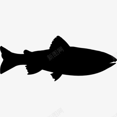 动物尼子鱼形图标图标