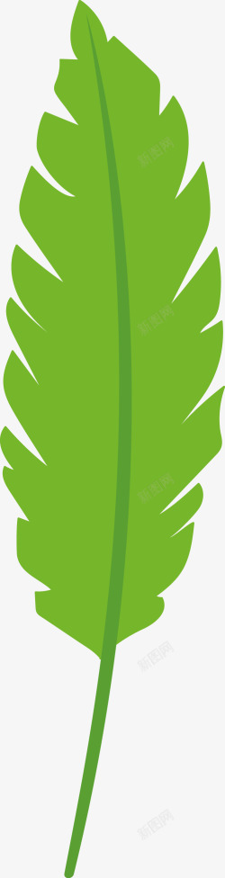 绿色棕榈叶叶子素材