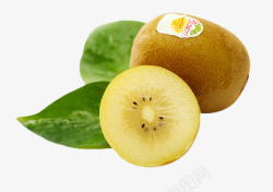 红心猕猴桃素材