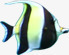 左上角黑条纹热带鱼png免抠素材_88icon https://88icon.com 左上角 条纹 热带鱼