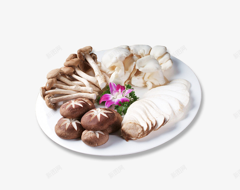 菌类拼盘png免抠素材_88icon https://88icon.com 凤尾菇 各种菌 茶树菇 菌 菌类 菜品 食物 香菇