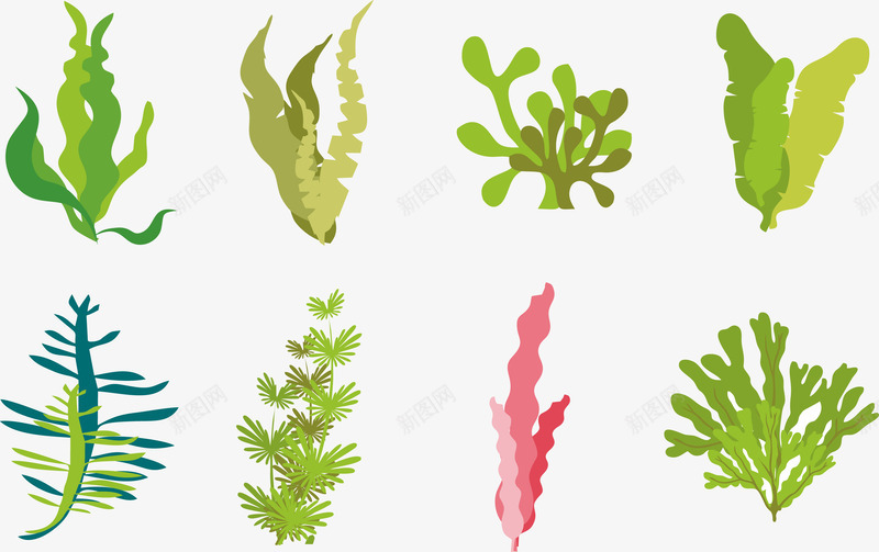 彩绘海底植物合集矢量图eps免抠素材_88icon https://88icon.com 位图图形 印刷图 彩绘 手绘 手绘彩色 植物合集 海底 装饰图 矢量图