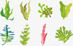 彩绘海底植物合集矢量图素材