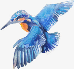 手绘水彩蓝色蜂鸟素材