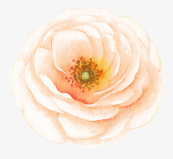 水彩手绘彩色花卉花朵素材