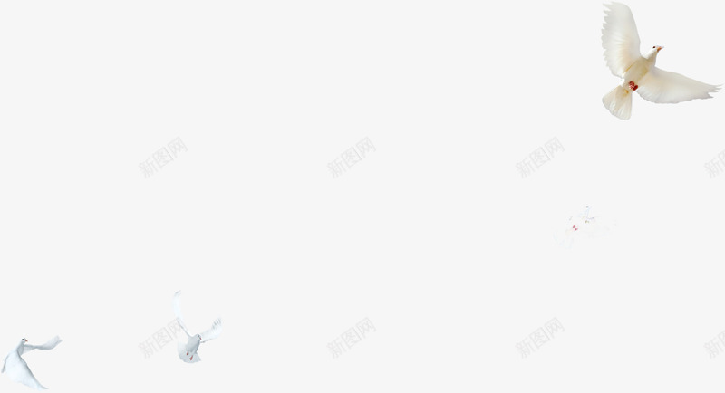 一群飞翔在海边海鸥png免抠素材_88icon https://88icon.com 海边 海鸥 飞翔