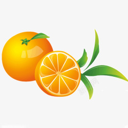 手绘水果橙子切面素材