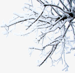 白色雪景冬日树木素材