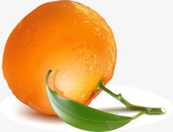 橙色卡通水果素材