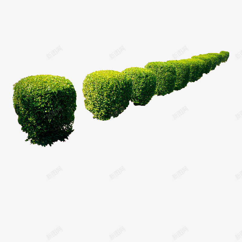 园林花草树木花束花卉png免抠素材_88icon https://88icon.com 建筑绿化装饰绿色植物红花