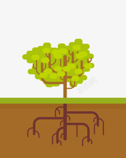 树根解剖一颗树木矢量图高清图片