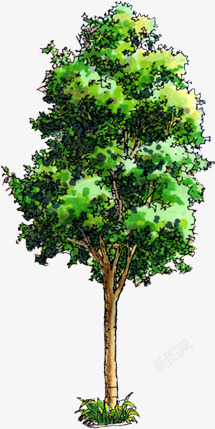 手绘绘画创意绿色树木素材