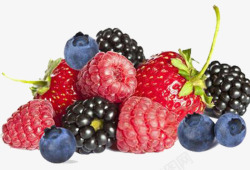 产品实物各种莓果果实素材
