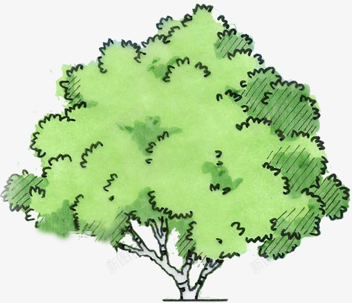绿色卡通手绘树木png免抠素材_88icon https://88icon.com 卡通 树木 绿色
