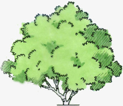 绿色卡通手绘树木素材