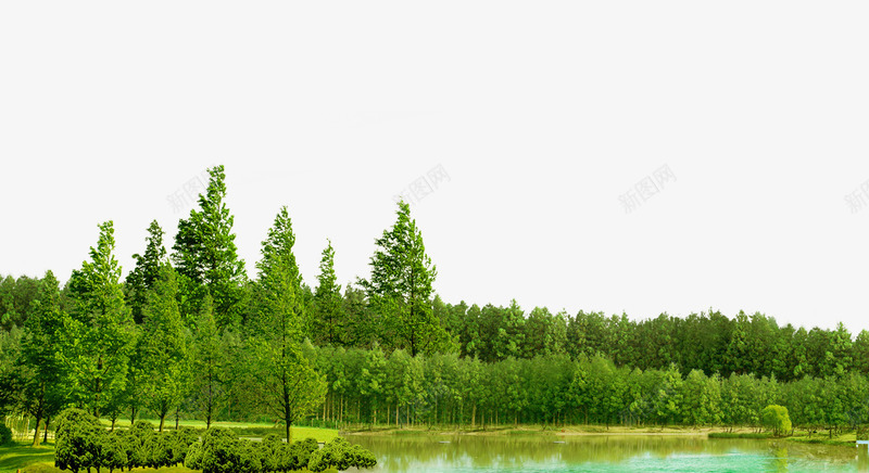 森林湖泊背景png免抠素材_88icon https://88icon.com 树木 森林 湖泊 自然风光