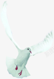 和平鸽飞翔在空中白色png免抠素材_88icon https://88icon.com 和平鸽 白色 空中 飞翔