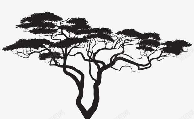 黑色松树图标图标
