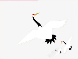 一只白色飞翔的天鹤矢量图素材
