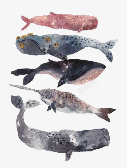 各种深海鲸鱼绘画素材