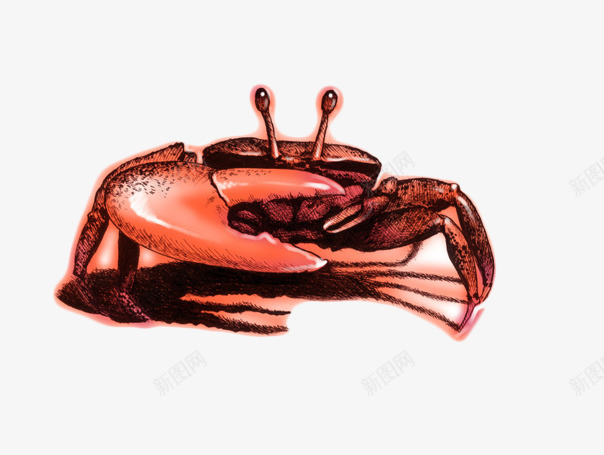 手绘螃蟹片png免抠素材_88icon https://88icon.com 免抠素材螃蟹图片 海洋生物 海鲜图片 装饰图片螃蟹