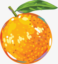 橙色闪耀橘子素材