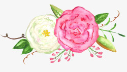 手绘彩色花朵花卉素材