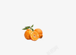 四川丑桔三个橙色四川特色水果丑桔高清图片