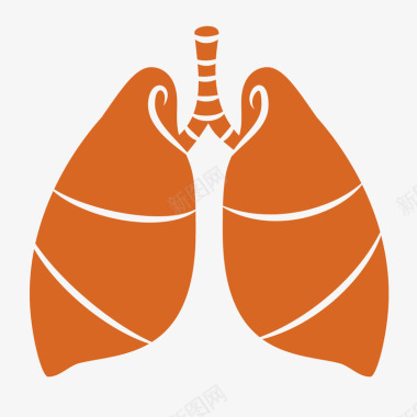 肺叶人体内脏图标图标