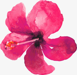 水彩绘粉色花朵矢量图素材