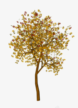 秋季湖光山色黄粲小树高清图片