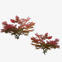 园林假山树木花草素材