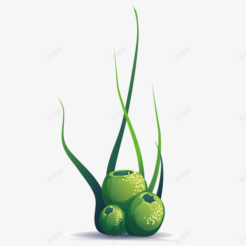圆球形海洋植物png免抠素材_88icon https://88icon.com 圆球形 植物 海洋 绿色