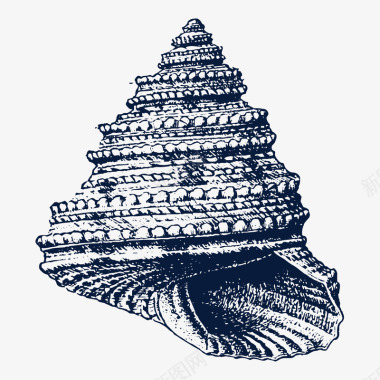 新年装饰插画手绘海螺贝壳图标图标