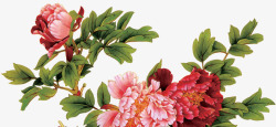 手绘彩绘创意摄影合成效果海棠花素材