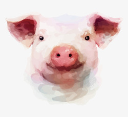 可爱的彩绘小猪矢量图素材