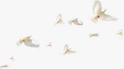 白色飞翔的和平鸽装饰素材
