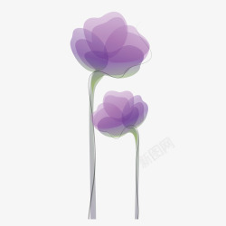 彩绘紫草紫色花朵素材