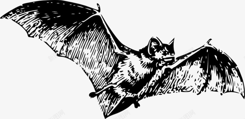 飞翔手绘蝙蝠图标图标